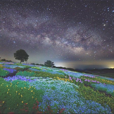 Kuju くじゅう花公園　キャンピングリゾート花と星 מראה חיצוני תמונה