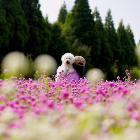 Kuju くじゅう花公園　キャンピングリゾート花と星 מראה חיצוני תמונה