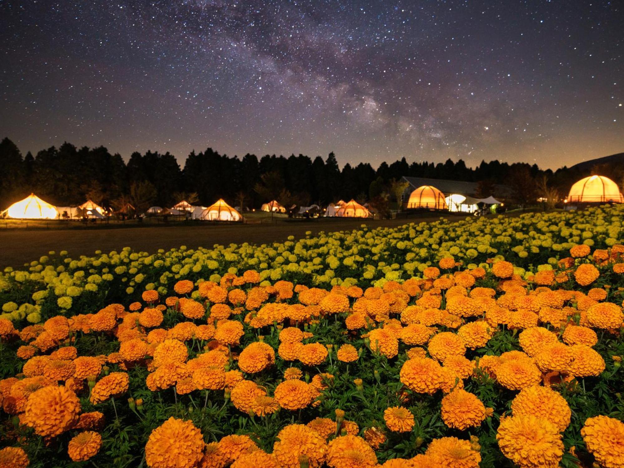 Kuju くじゅう花公園　キャンピングリゾート花と星 מראה חיצוני תמונה