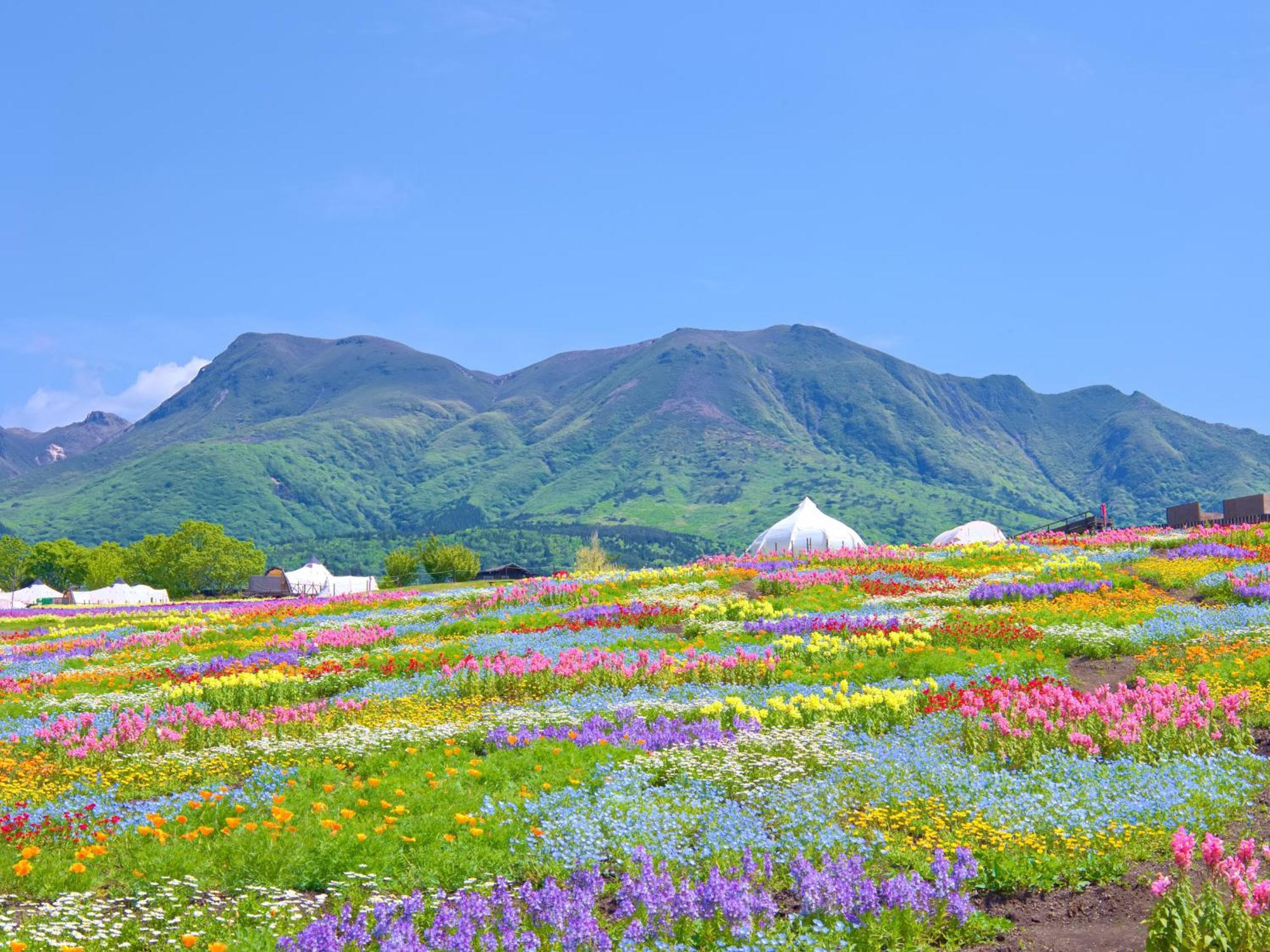 Kuju くじゅう花公園　キャンピングリゾート花と星 מראה חיצוני תמונה