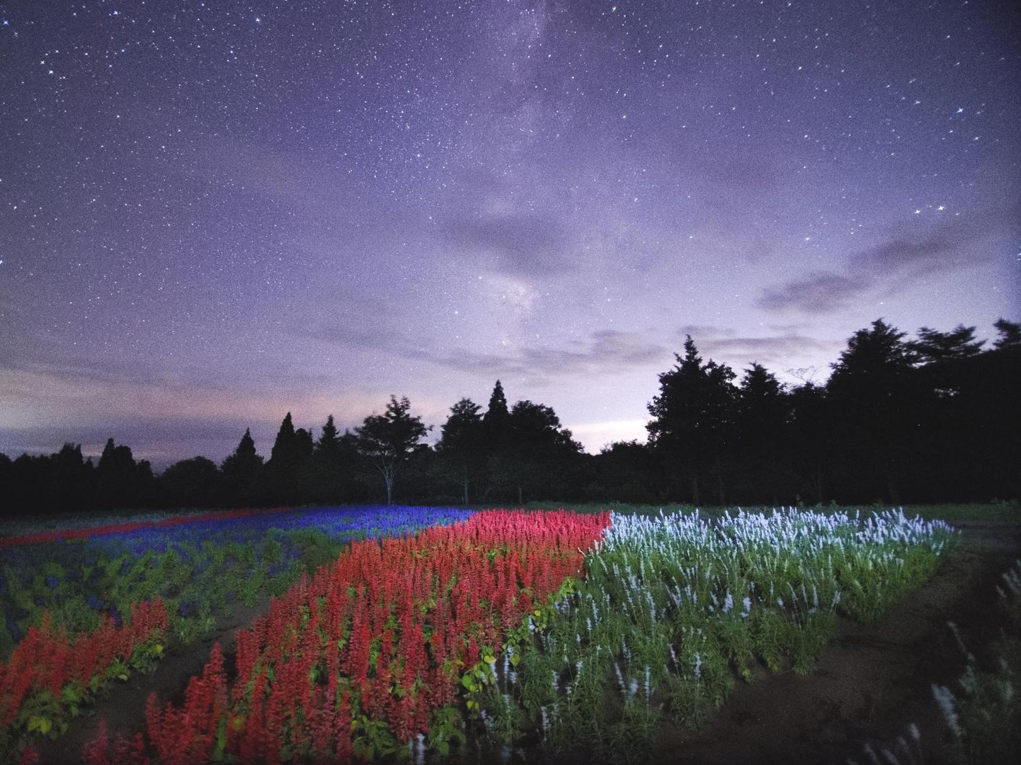 Kuju くじゅう花公園　キャンピングリゾート花と星 מראה חיצוני תמונה