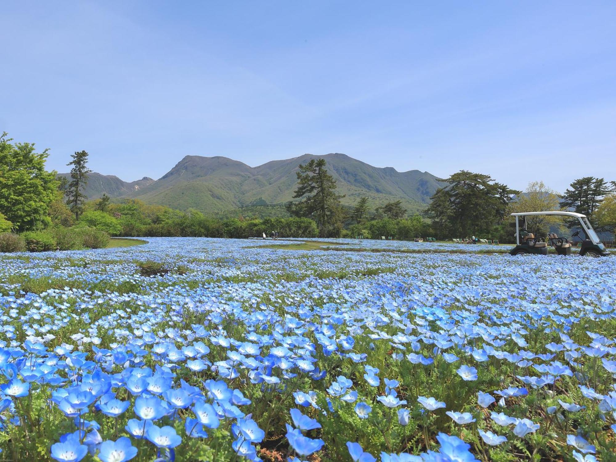 Kuju くじゅう花公園　キャンピングリゾート花と星 מראה חיצוני תמונה