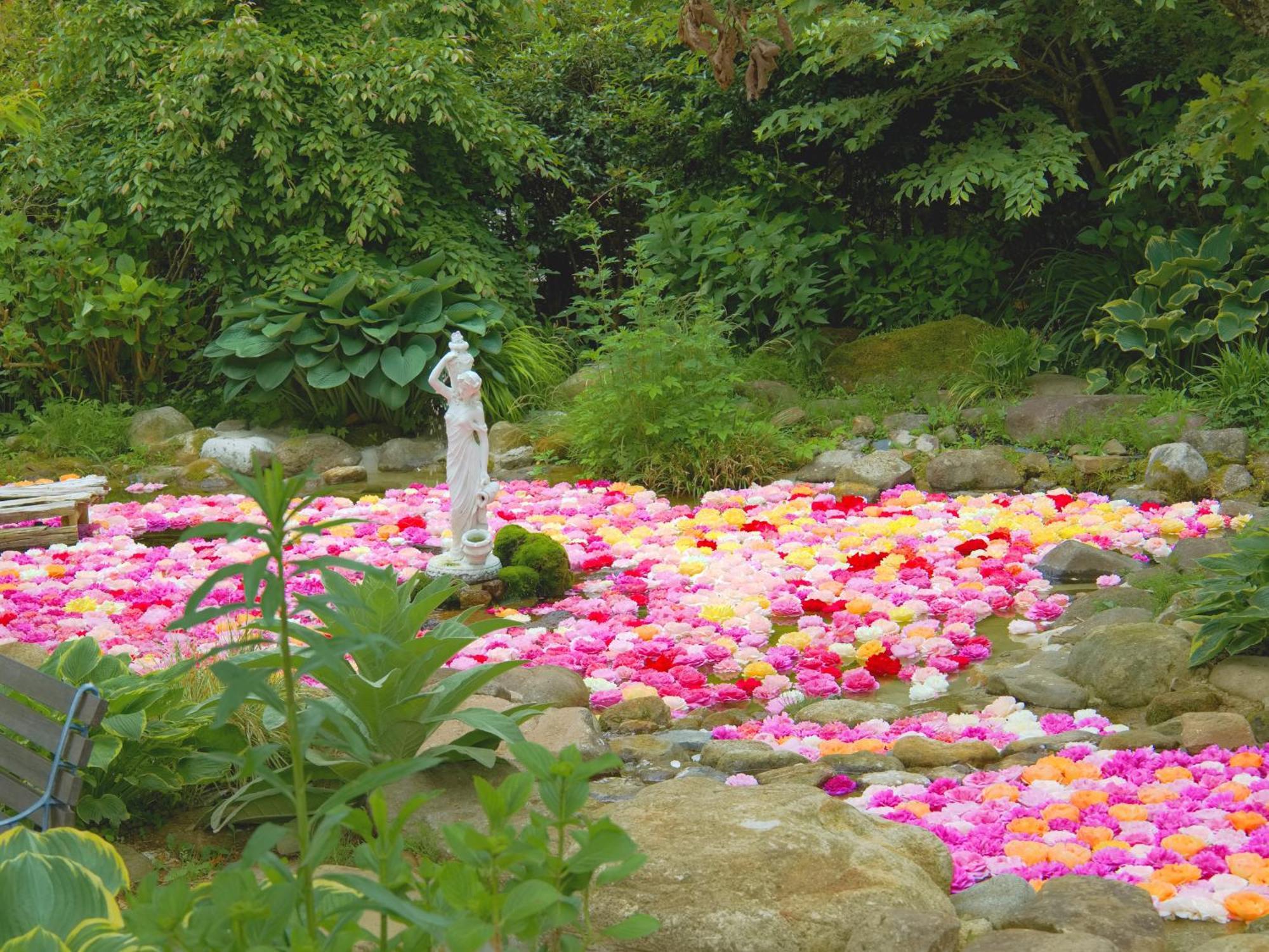 Kuju くじゅう花公園　キャンピングリゾート花と星 מראה חיצוני תמונה