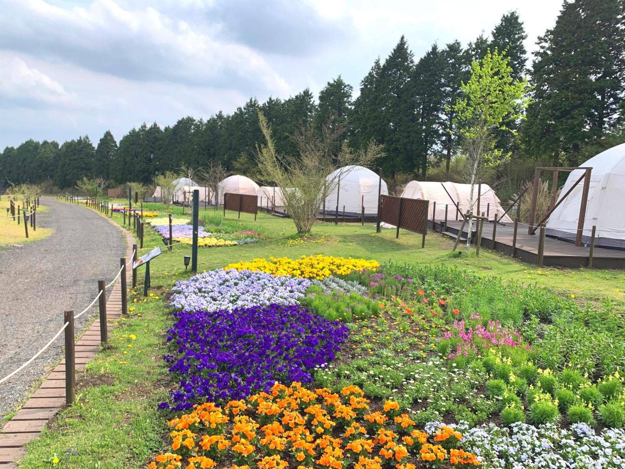 Kuju くじゅう花公園　キャンピングリゾート花と星 מראה חיצוני תמונה