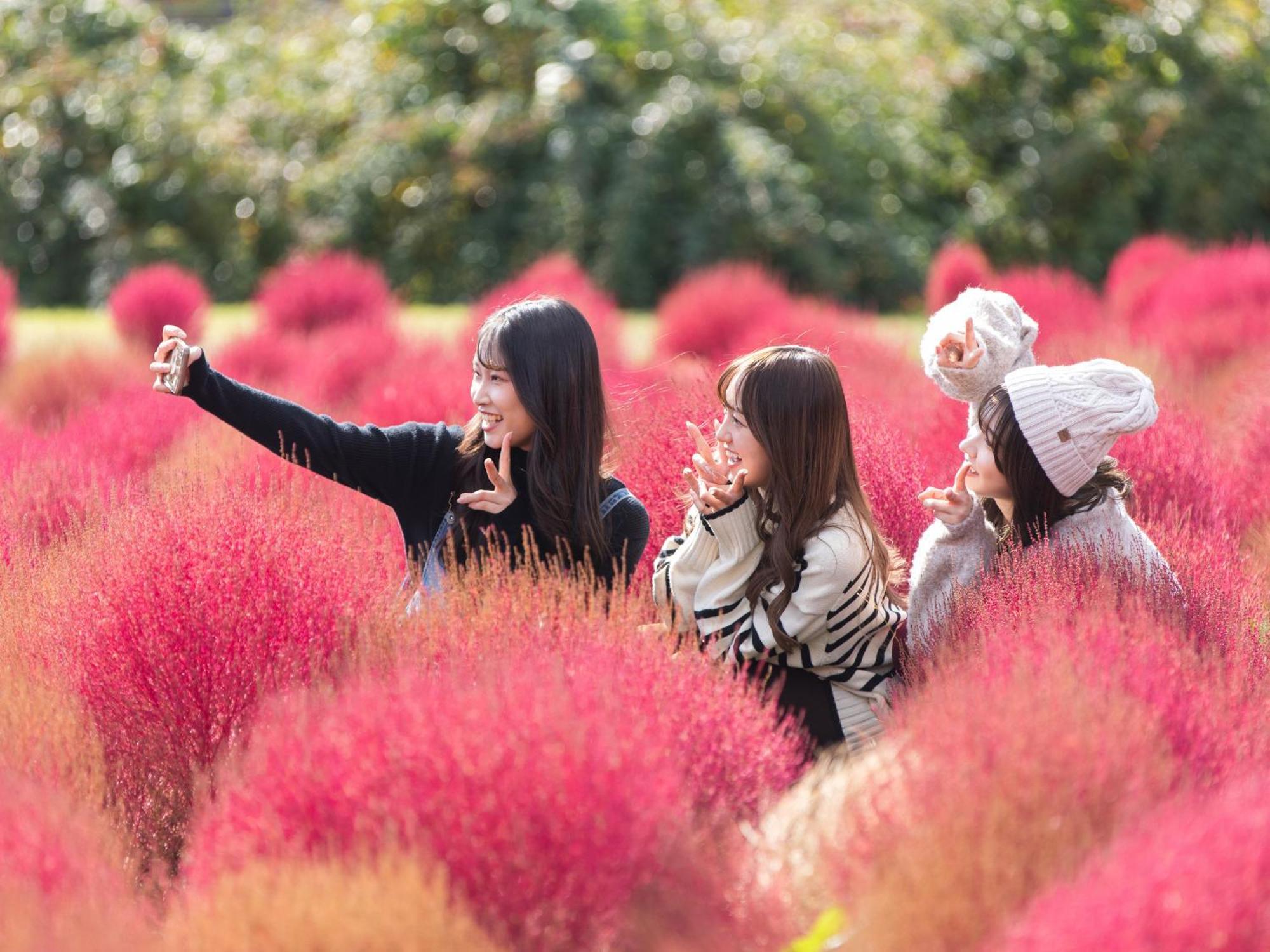 Kuju くじゅう花公園　キャンピングリゾート花と星 מראה חיצוני תמונה