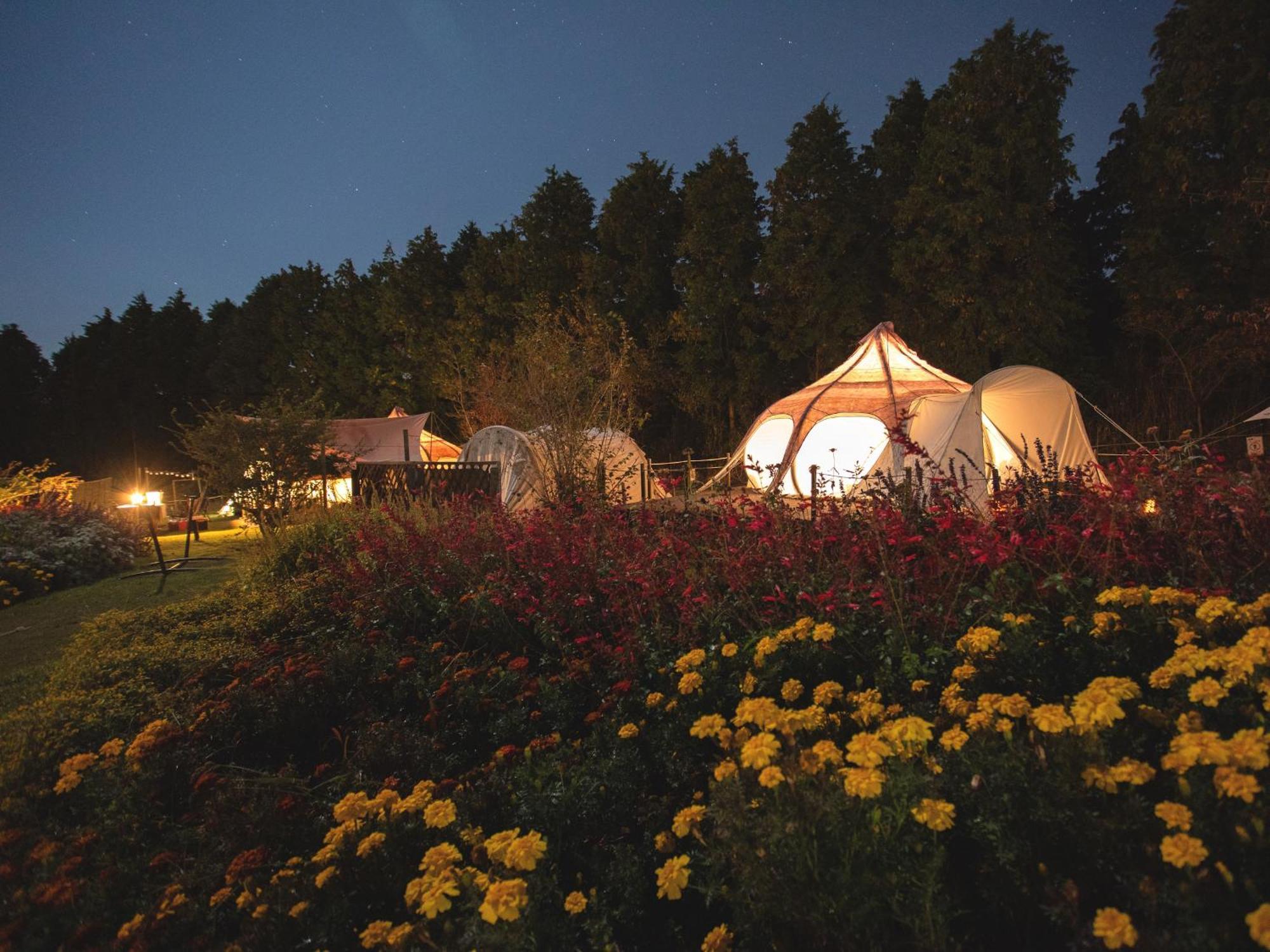 Kuju くじゅう花公園　キャンピングリゾート花と星 מראה חיצוני תמונה