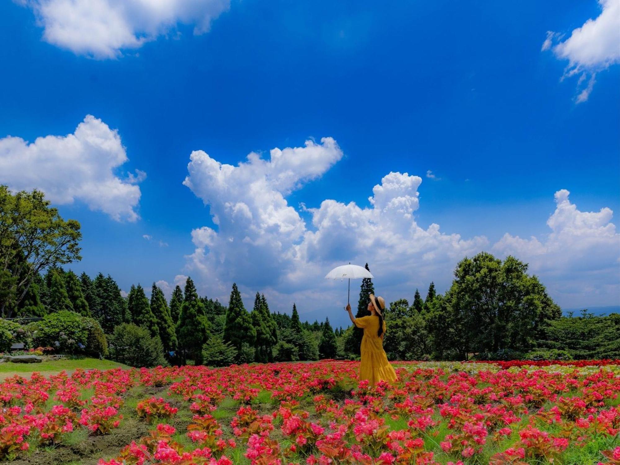 Kuju くじゅう花公園　キャンピングリゾート花と星 מראה חיצוני תמונה