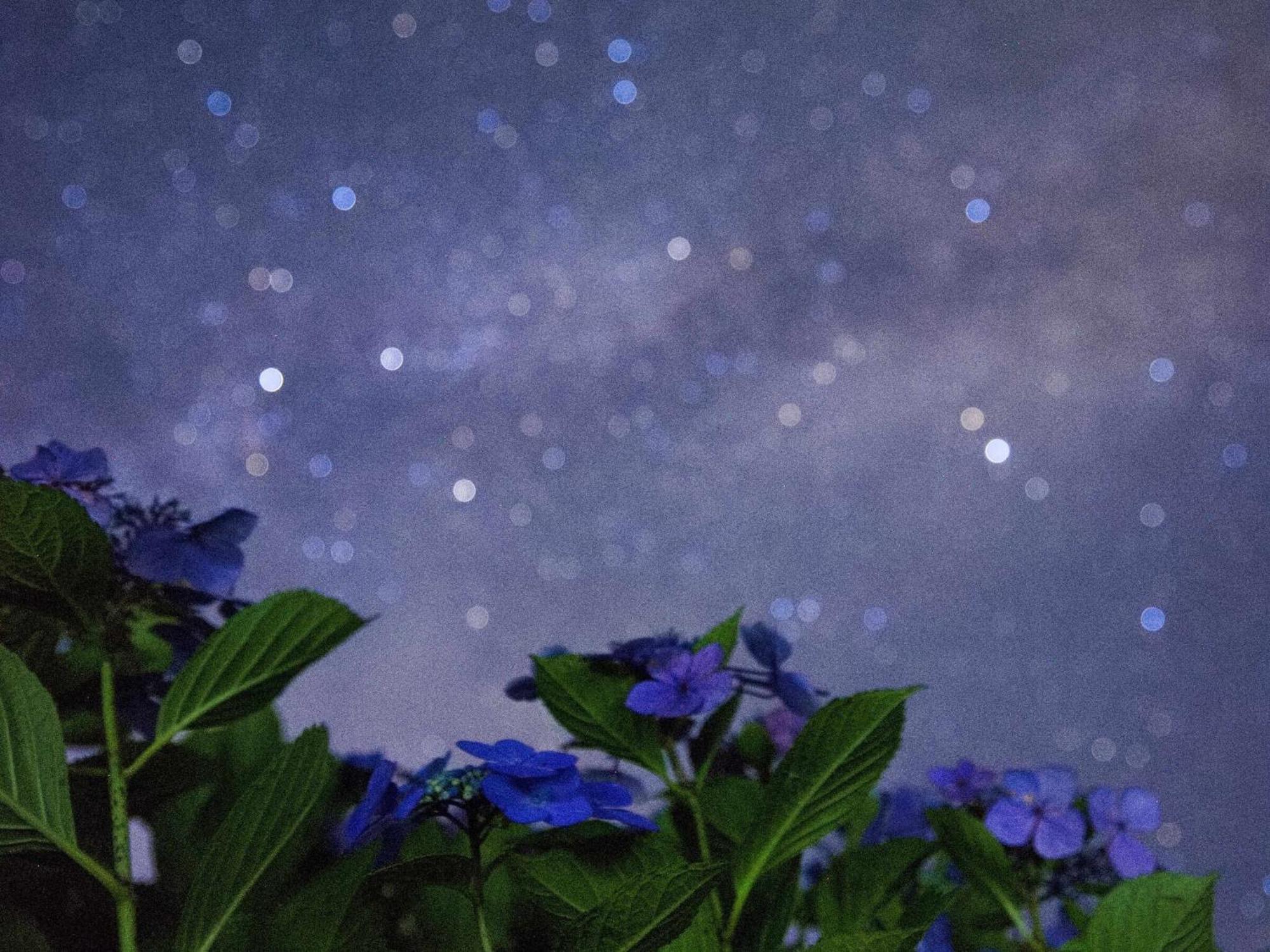 Kuju くじゅう花公園　キャンピングリゾート花と星 מראה חיצוני תמונה
